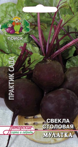 Свёкла Мулатка цв.п 3гр Поиск