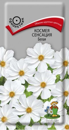 Космея Сенсация белая цв.п 0,3гр Поиск
