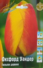 Тюльпан Оксфорд Уандер (Дарвина) Color Line