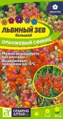 Львиный Зев (антирринум) Оранжевый Сфинкс цв.п 0,2гр Семена Алтая