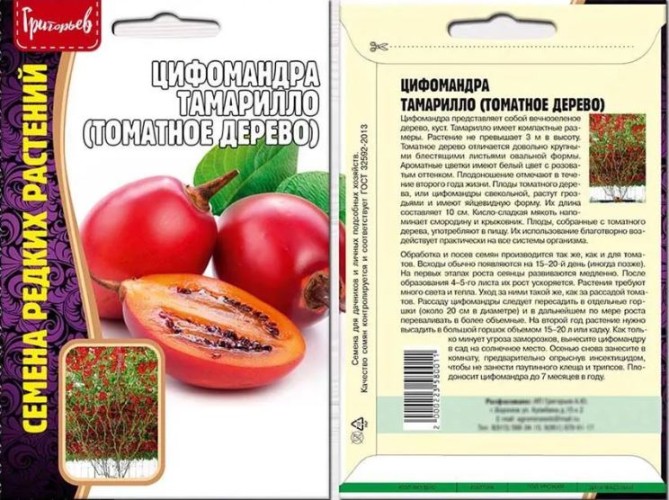 Цифомандра Тамарилло (Томатное дерево) цв.п 5шт	ИП Григорьев