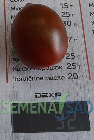 Томат Гранатовая Капля цв.п 10шт Медведев