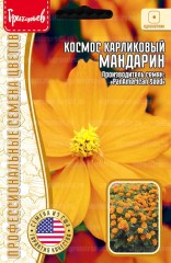 Космос Мандарин карликовый серно-жёлтый (PanAmerican Seed) цв.п 5шт ИП Григорьев