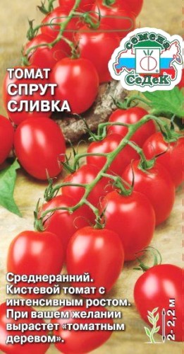 Томат Спрут Сливка F1 цв.п 0,03гр СеДек