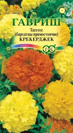 Бархатцы Крекерджек цв.п 0,3гр Гавриш