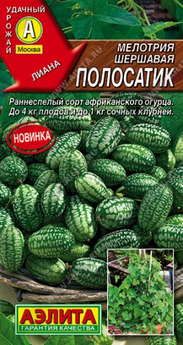 Мелотрия шершавая Полосатик цв.п 0,03гр Аэлита