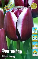 Тюльпан Фонтенбло (Триумф) Color Line