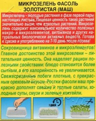 Микрозелень Фасоль Золотистая цв.п 5гр Аэлита