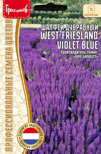 Шалфей West-Friesland Violet Blue дубравный цв.п 20шт ИП Григорьев