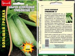 Кабачок Грибовские 37 белоплодный цв.п 30шт ИП Григорьев