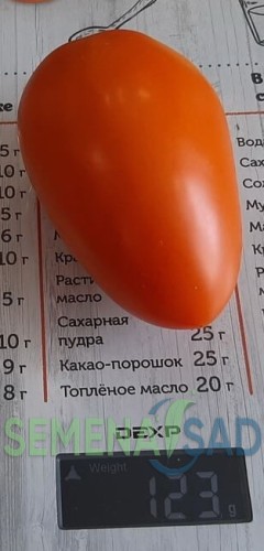 Томат Лисичка цв.п 10шт Медведев