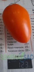 Томат Лисичка цв.п 10шт Медведев