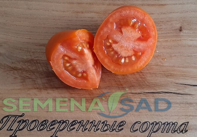 Томат Лисичка цв.п 10шт Медведев