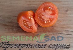 Томат Лисичка цв.п 10шт Медведев