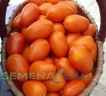 Томат Лисичка цв.п 10шт Медведев