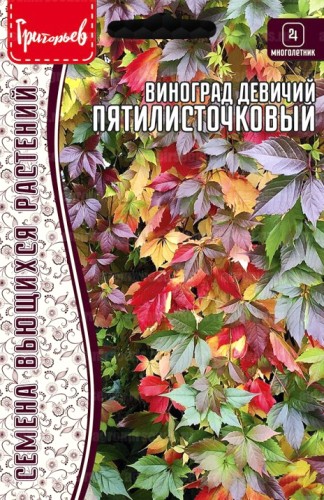 Виноград Пятилисточковый девичий цв.п 5шт ИП Григорьев
