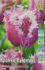 Тюльпан Кранчи Кьюминс (Супербахромчатый) Color Line