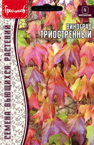 Виноград Триостренный девичий цв.п 0,2гр ИП Григорьев
