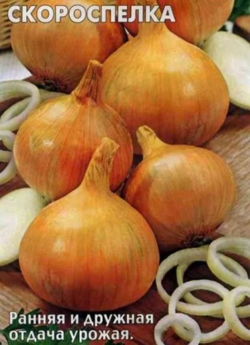 Лук репч. Скороспелка цв.п 0,3гр СеДек