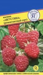 Малина Августина цв.п 10шт Престиж