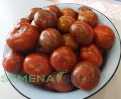 Томат Полосатый Шоколад цв.п 10шт Медведев