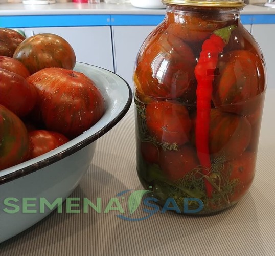 Томат Полосатый Шоколад цв.п 10шт Медведев