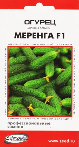 Огурец Меренга F1 цв.п 6шт Сортсемовощ