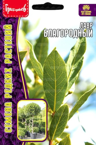 Лавр Благородный цв.п 2шт ИП Григорьев