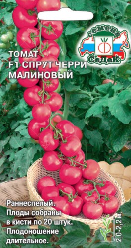 Томат Спрут Черри Малиновый F1 цв.п 0,03гр СеДек