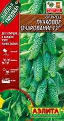 Огурец Пучковое Очарование F-1 цв.п 10шт Аэлита