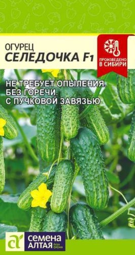 Огурец Селёдочка F1 цв.п 5шт Семена Алтая