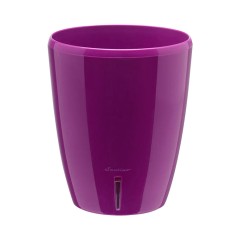 ОРХИДЕЯ вазон двойной лиловый 2л