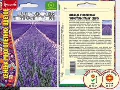Лаванда Munstead Strain (blue) узколистная цв.п 30шт ИП Григорьев