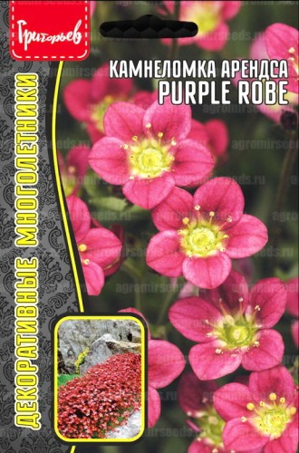 Камнеломка Purple Robe арендса цв.п 0,01гр ИП Григорьев