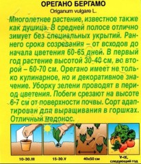 Душица Бергамо (орегано) цв.п 0,05гр Аэлита