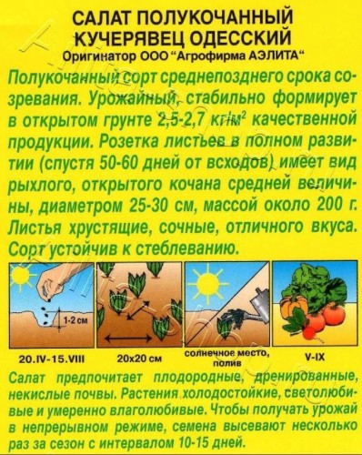 Салат Кучерявец Одесский мет.п 0,5гр Аэлита