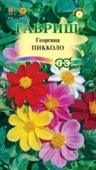 Георгина Пикколо цв.п 0,3гр Гавриш