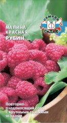 Малина Красная Рубин цв.п 0,05гр СеДек