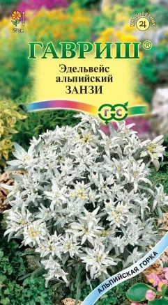 Эдельвейс Занзи альпийский цв.п 0,02гр Гавриш