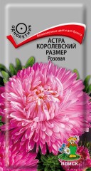 Астра Королевский Размер Розовая цв.п 0,1гр Поиск