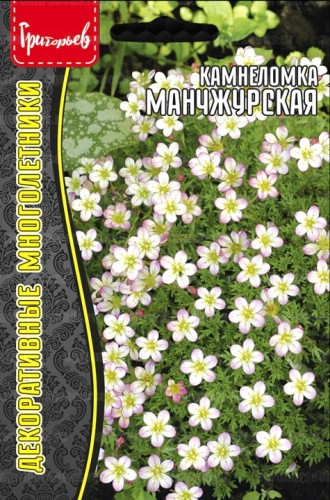 Камнеломка Манчжурская цв.п 0,01гр ИП Григорьев