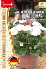 Маргаритка Тассо Белая компактная (Tasso White) цв.п 5шт ИП Григорьев
