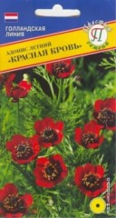 Адонис Красная Кровь цв.п 0,1гр Престиж