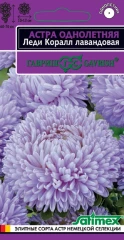 Астра Леди Корал лавандовая цв.п 005гр, Гавриш