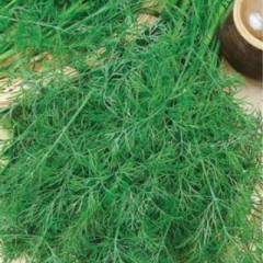 Укроп Узоры цв.п 2гр СеДек