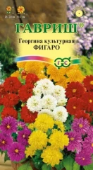 Георгина Фигаро цв.п 10шт Гавриш