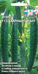 Огурец Сахарный Гигант F1 цв.п 0,2гр СеДек
