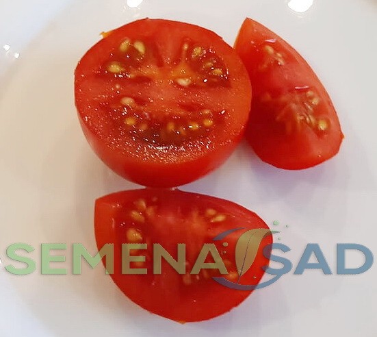 Томат Домашний цв.п 10шт Медведев