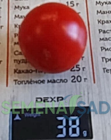 Томат Домашний цв.п 10шт Медведев