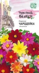 Георгина Чародейка цв.п 0,3гр Гавриш